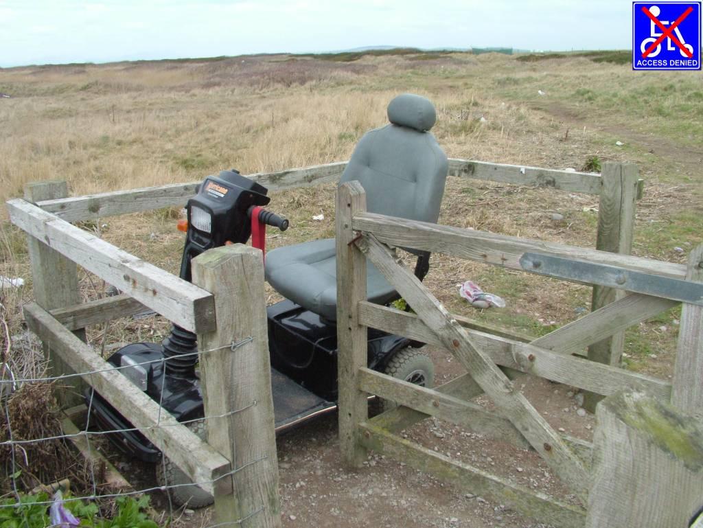 Click now to see this image full size.