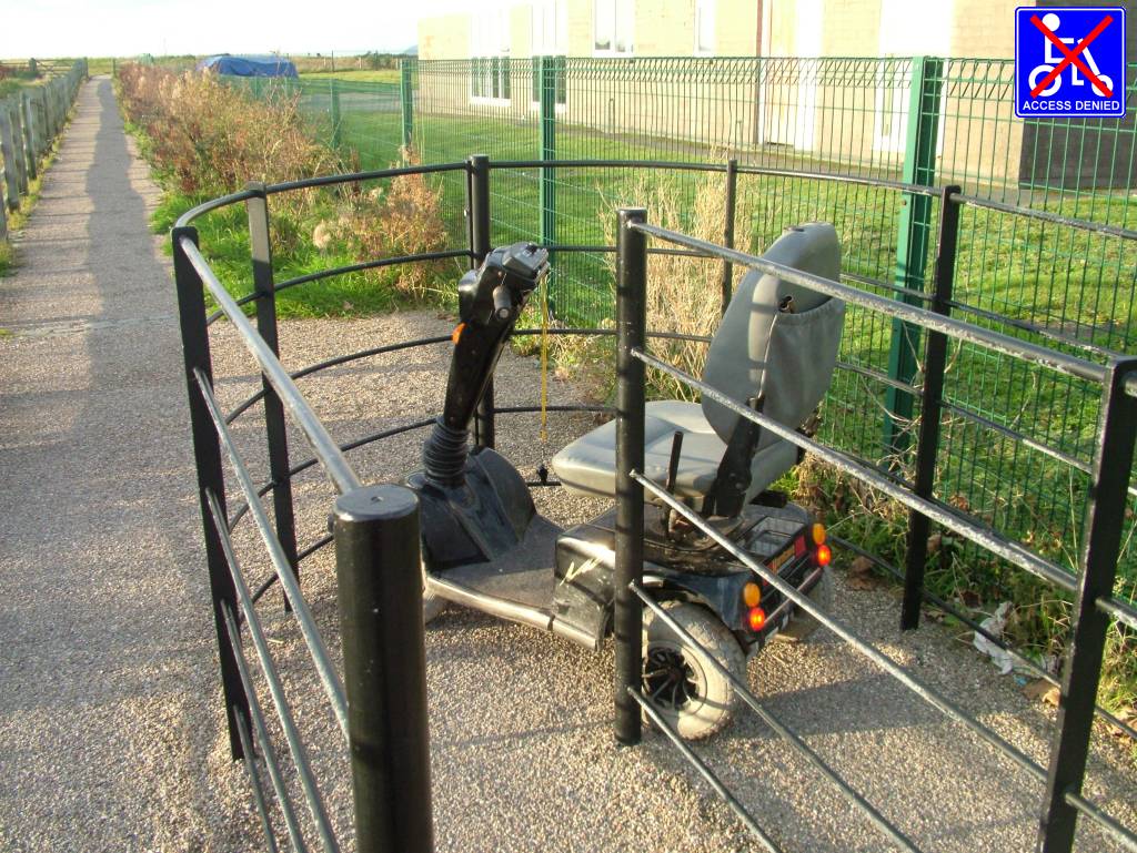 Click now to see this image full size.