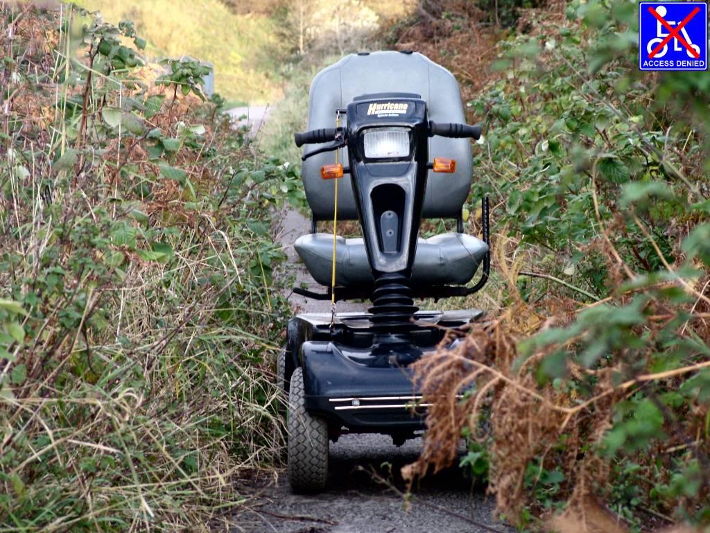 Click now to see this image full size.