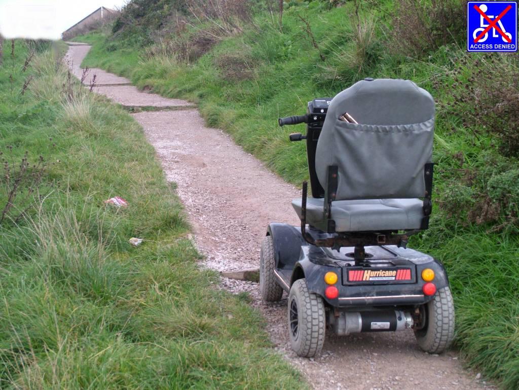 Click now to see this image full size.