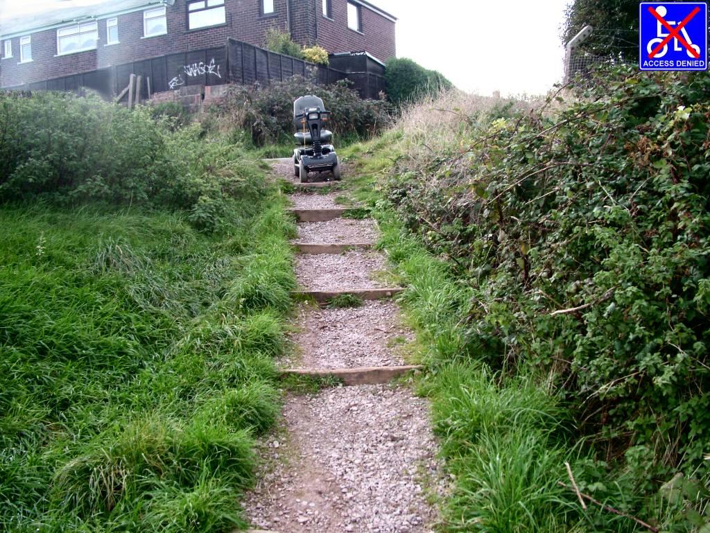 Click now to see this image full size.