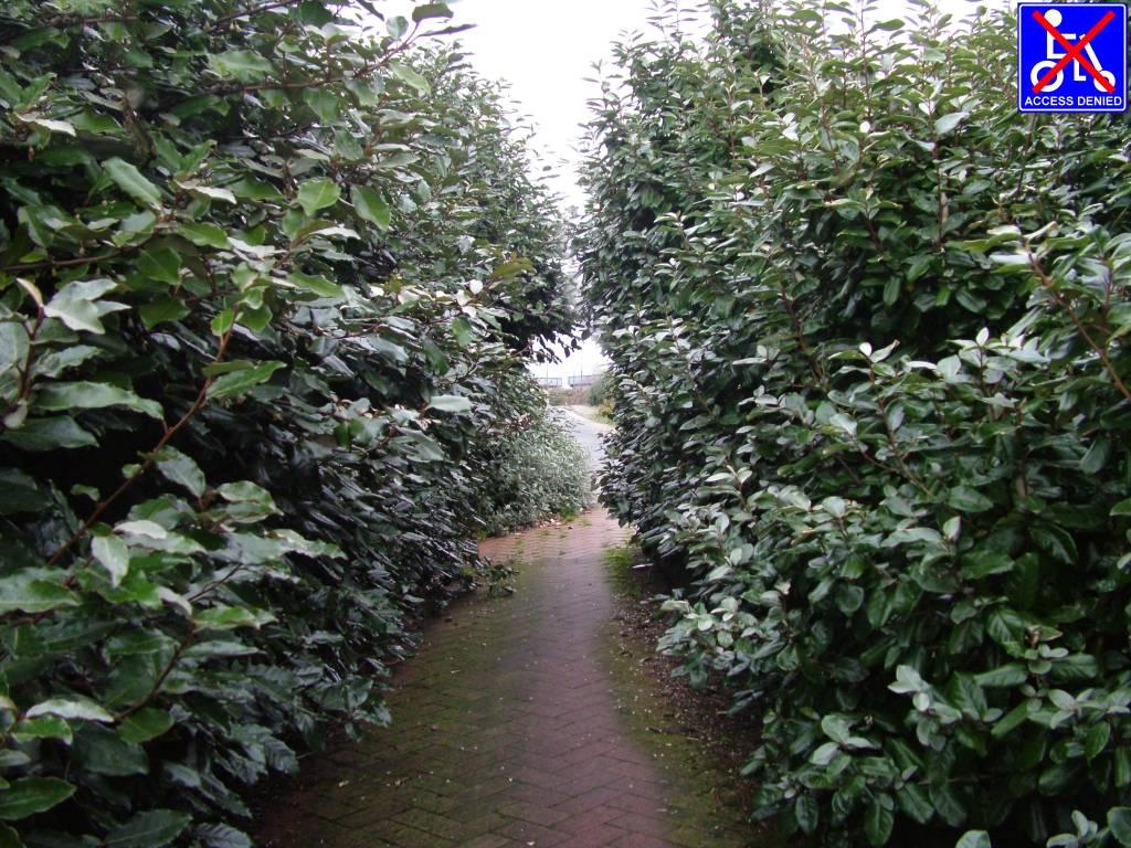 Click now to see this image full size.