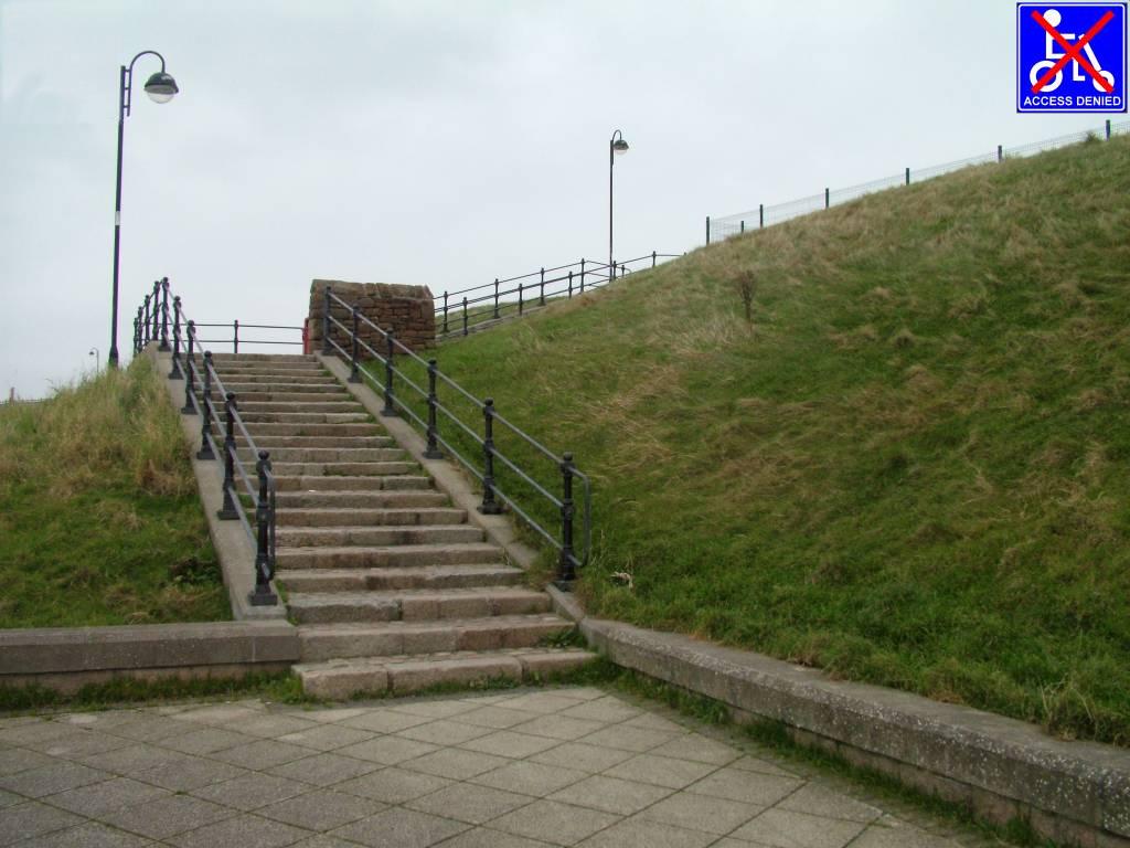 Click now to see this image full size.