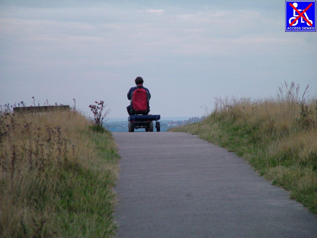 Click now to see this image full size.