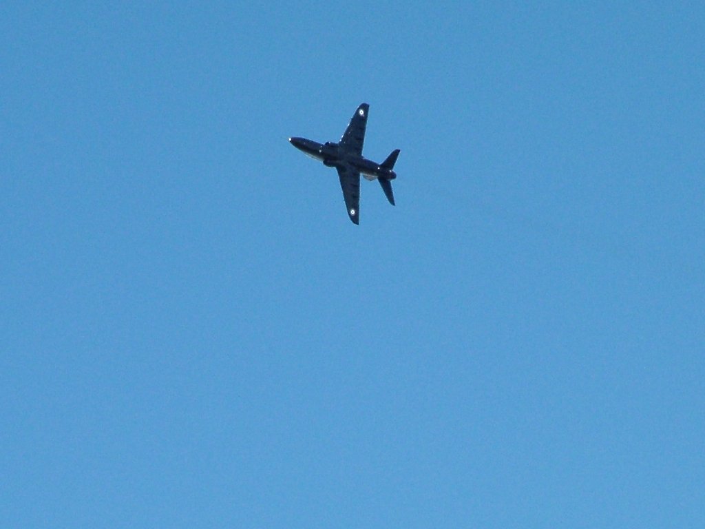 Click now to see this image full size.