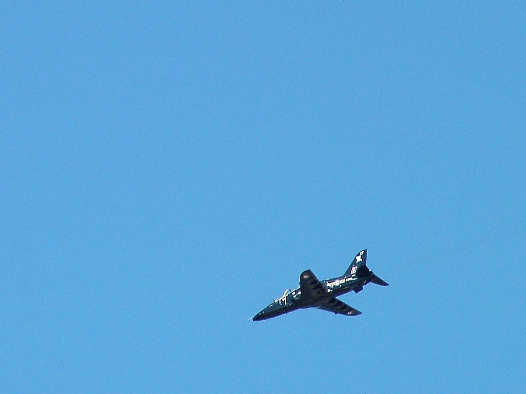 Click now to see this image full size.