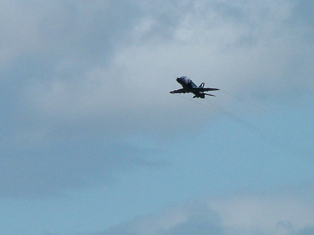 Click now to see this image full size.