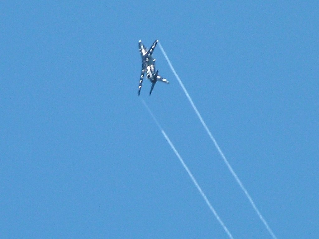 Click now to see this image full size.