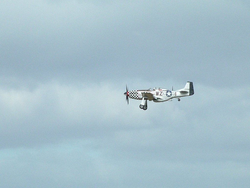 Click now to see this image full size.