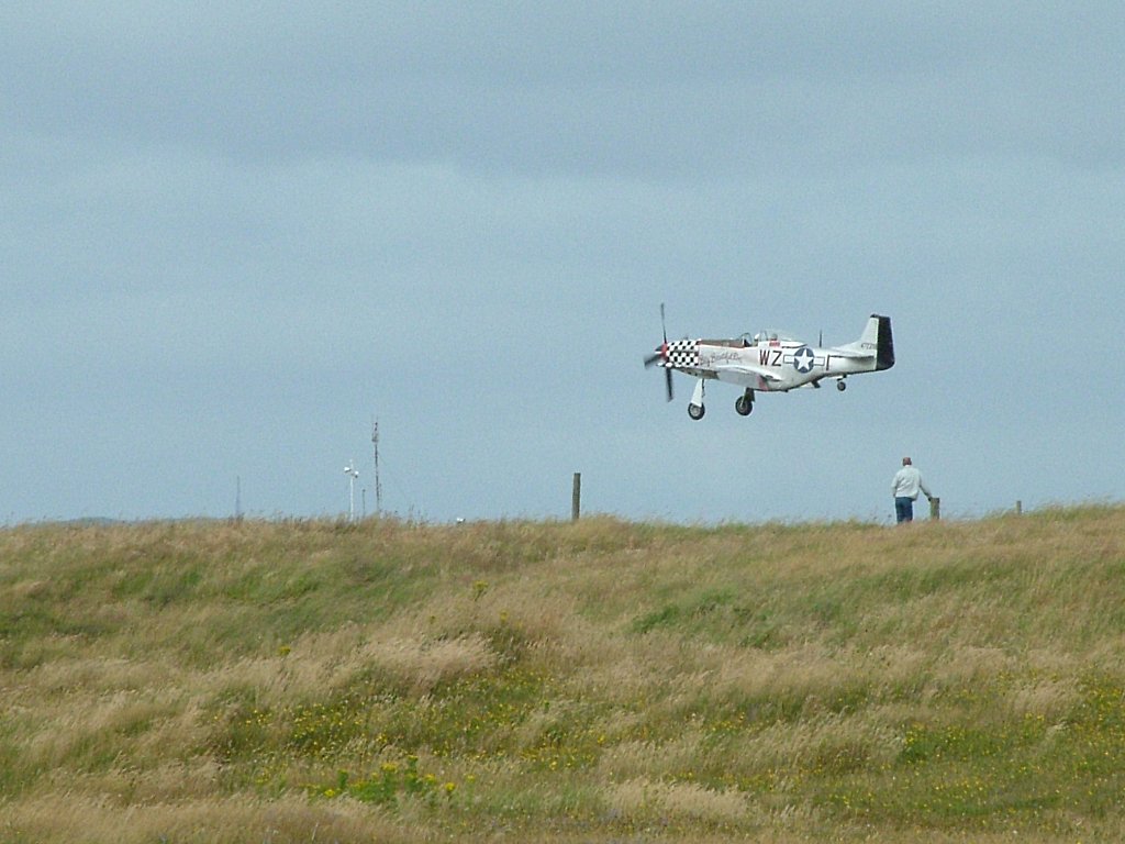 Click now to see this image full size.