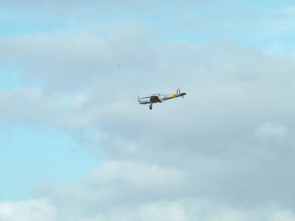 Click now to see this image full size.