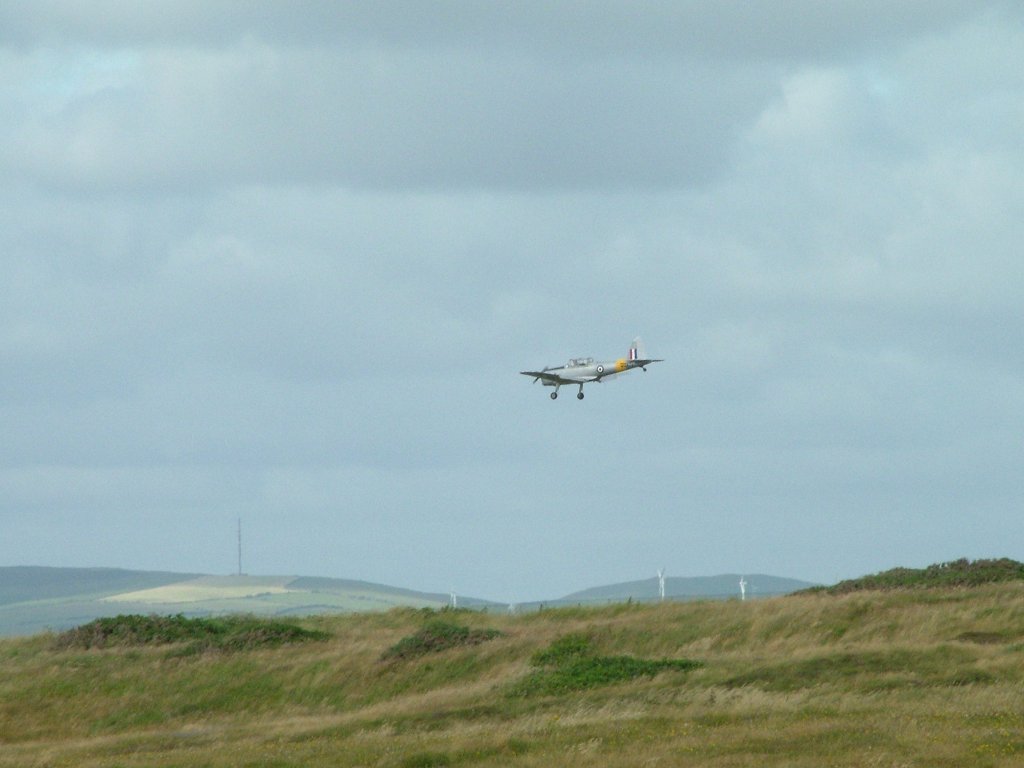 Click now to see this image full size.