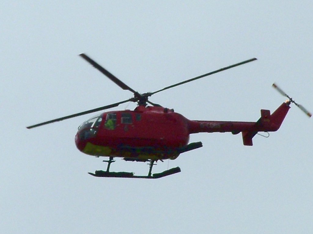 Click now to see this image full size.