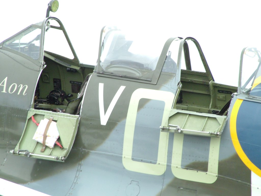 Click now to see this image full size.