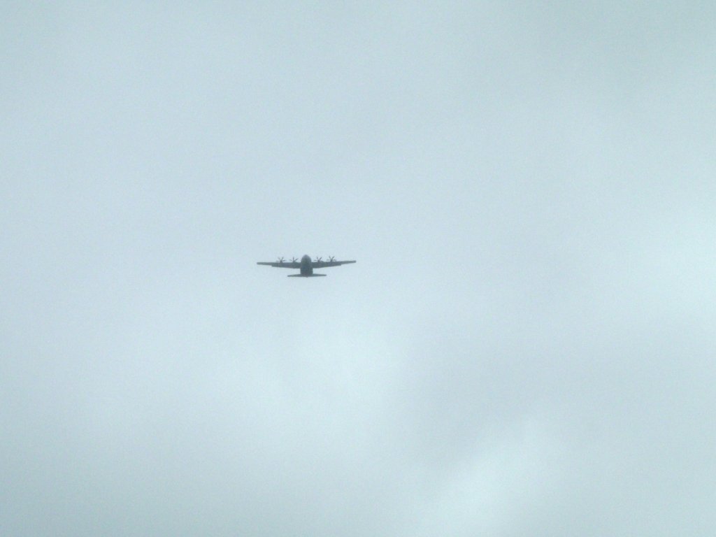 Click now to see this image full size.