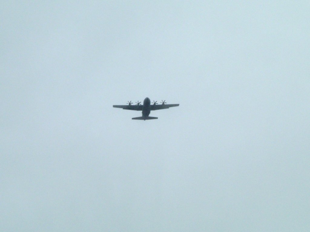 Click now to see this image full size.