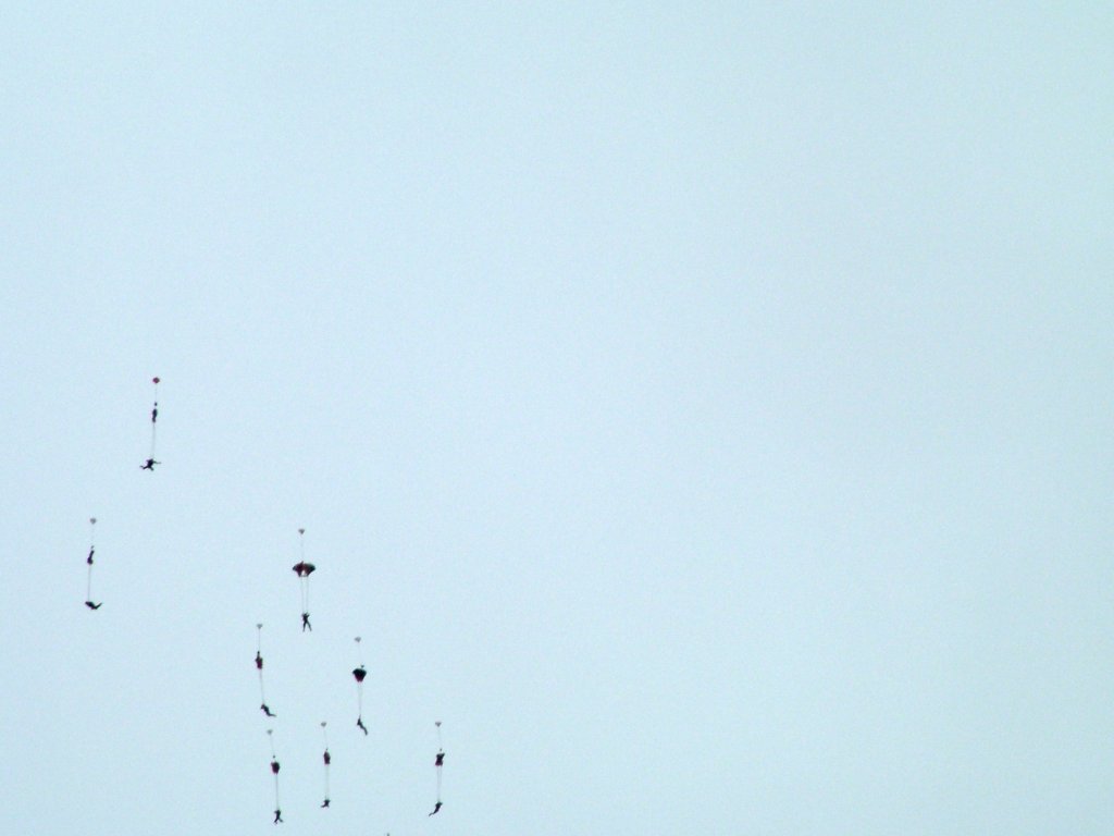 Click now to see this image full size.