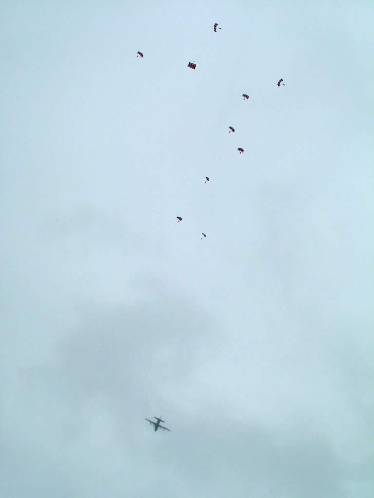 Click now to see this image full size.