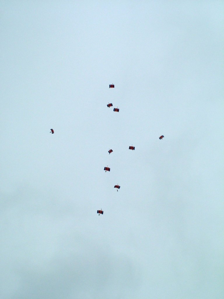 Click now to see this image full size.