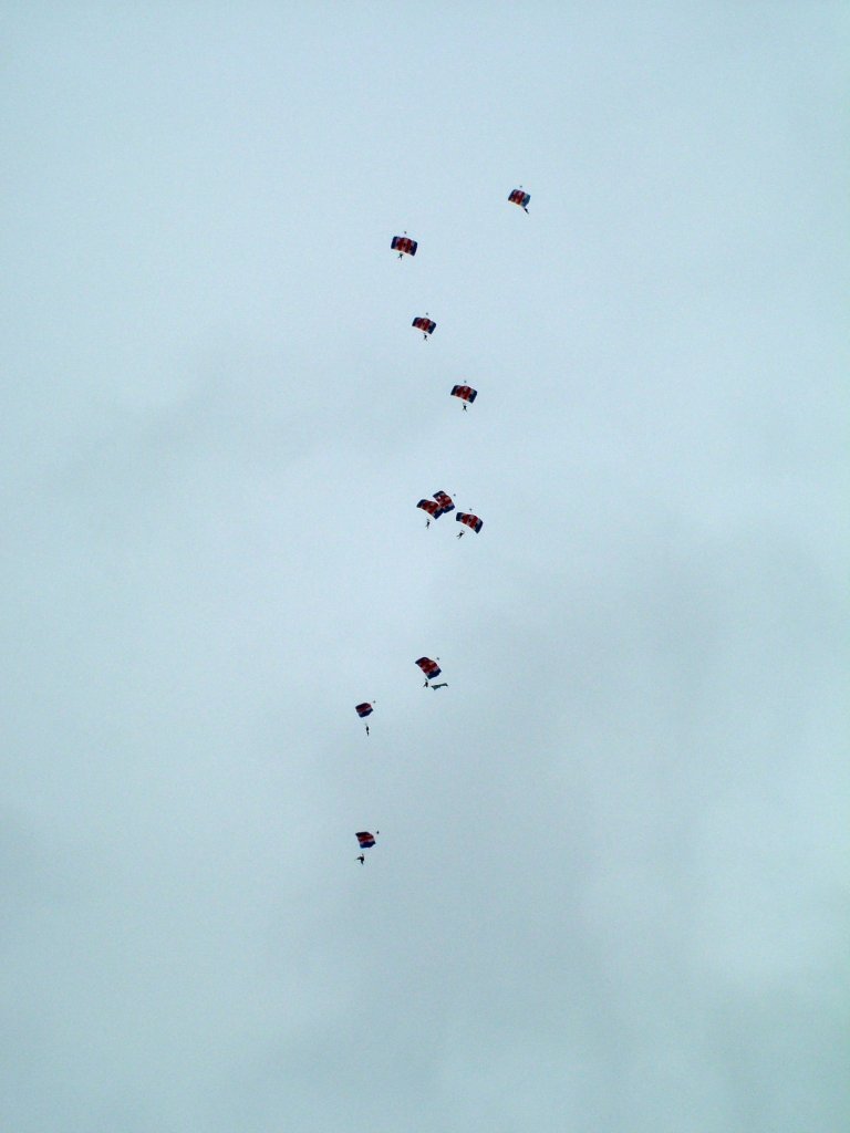 Click now to see this image full size.