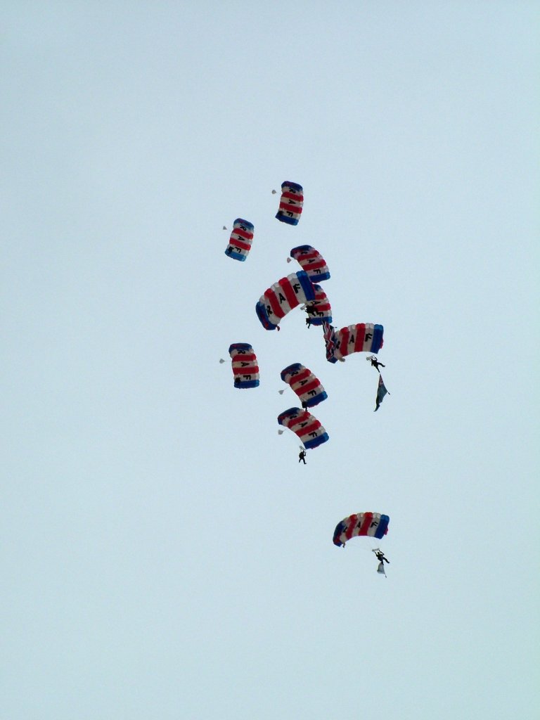 Click now to see this image full size.