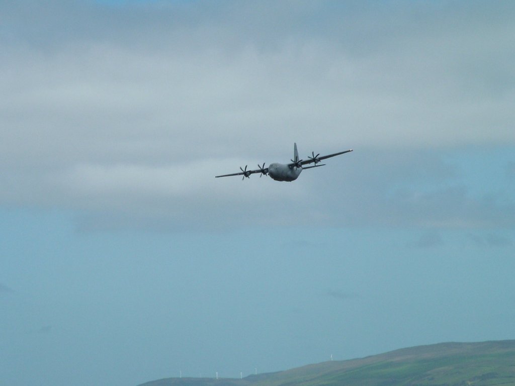 Click now to see this image full size.