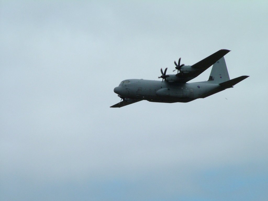 Click now to see this image full size.