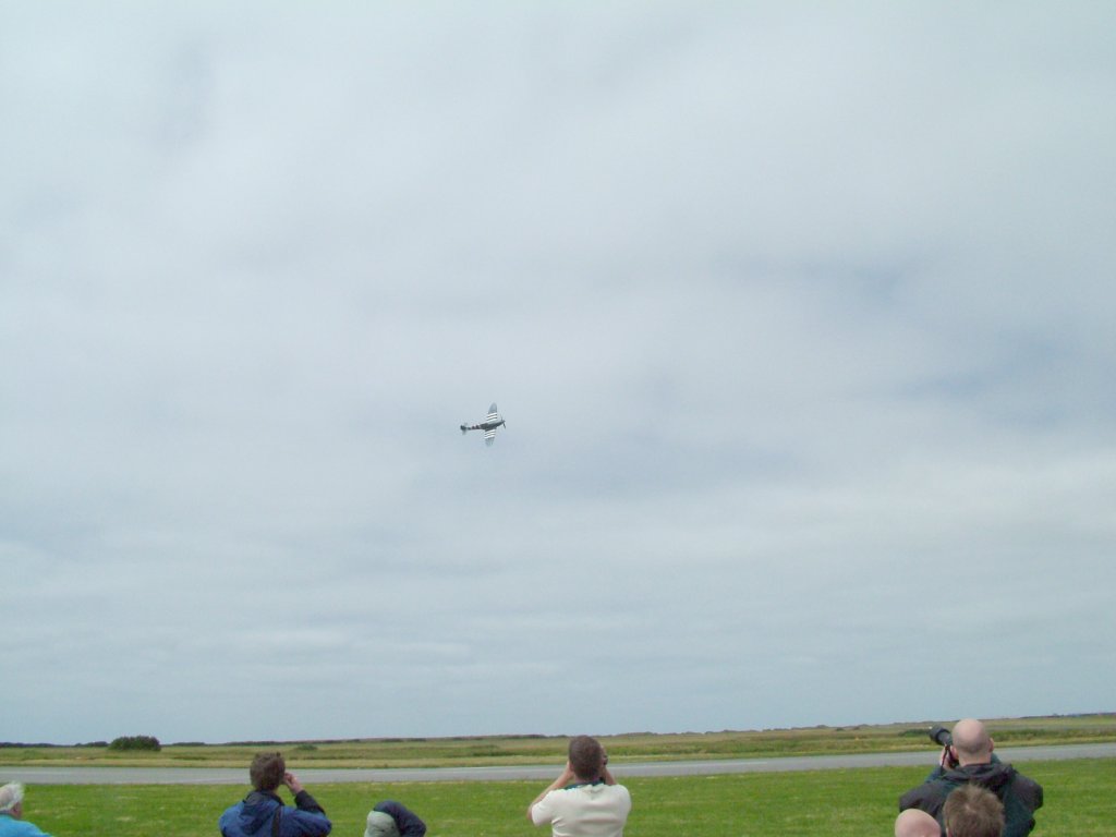 Click now to see this image full size.