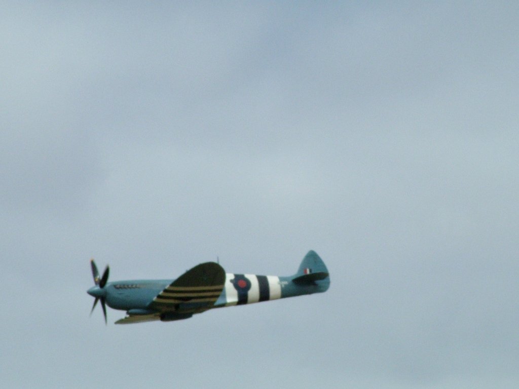 Click now to see this image full size.