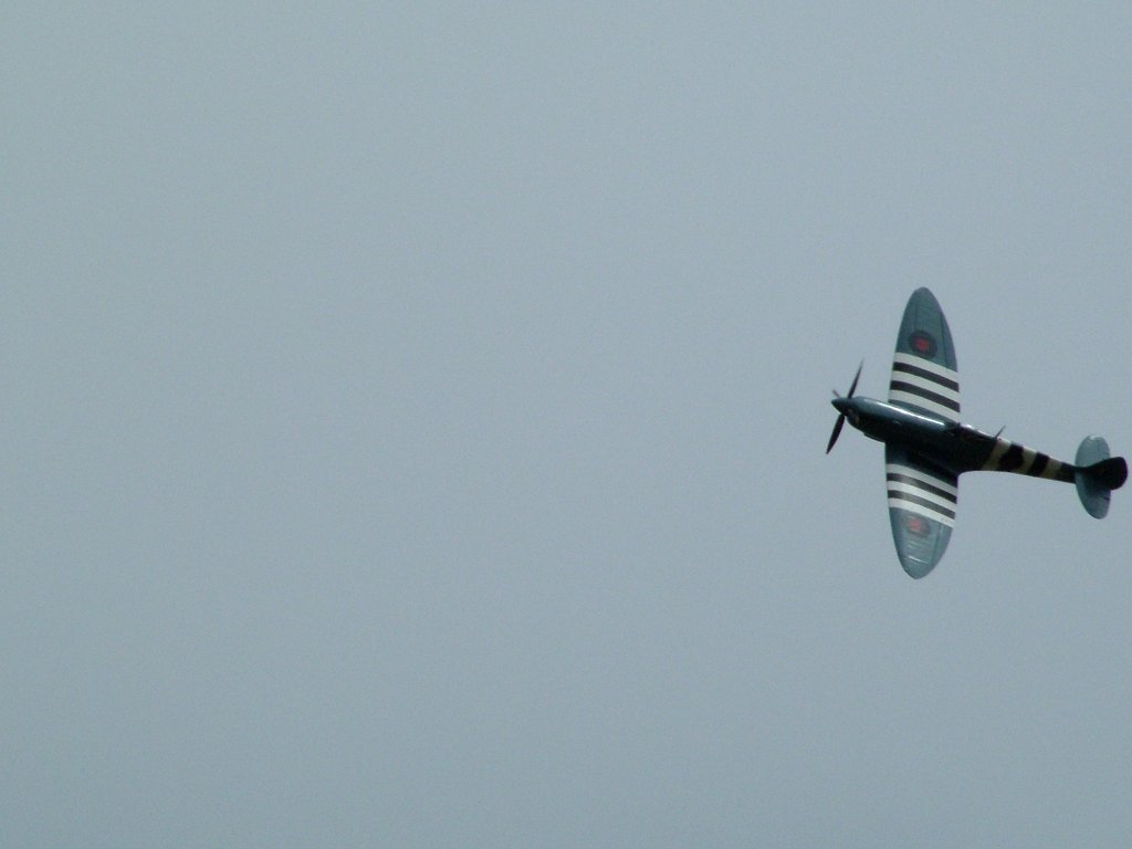 Click now to see this image full size.