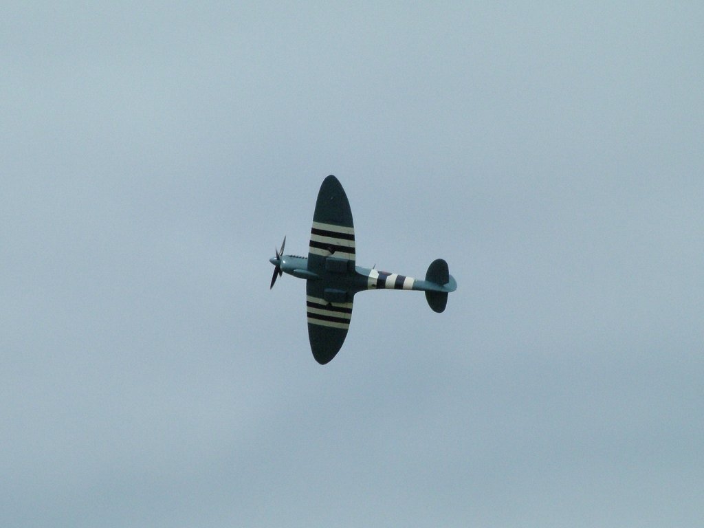 Click now to see this image full size.