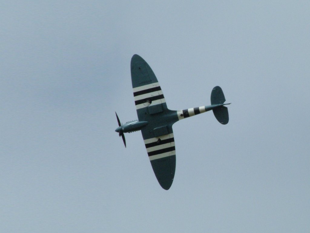 Click now to see this image full size.