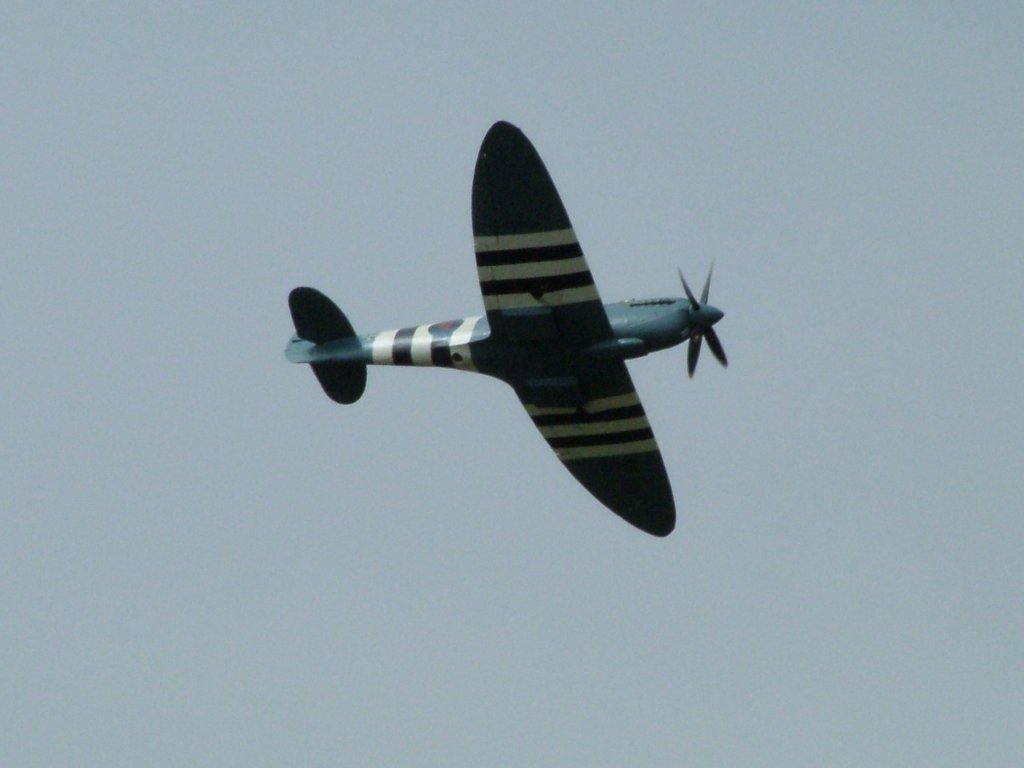 Click now to see this image full size.