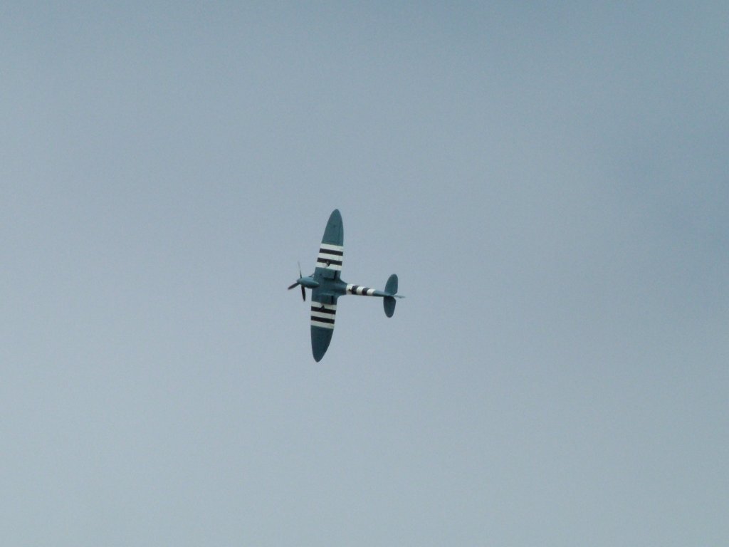 Click now to see this image full size.