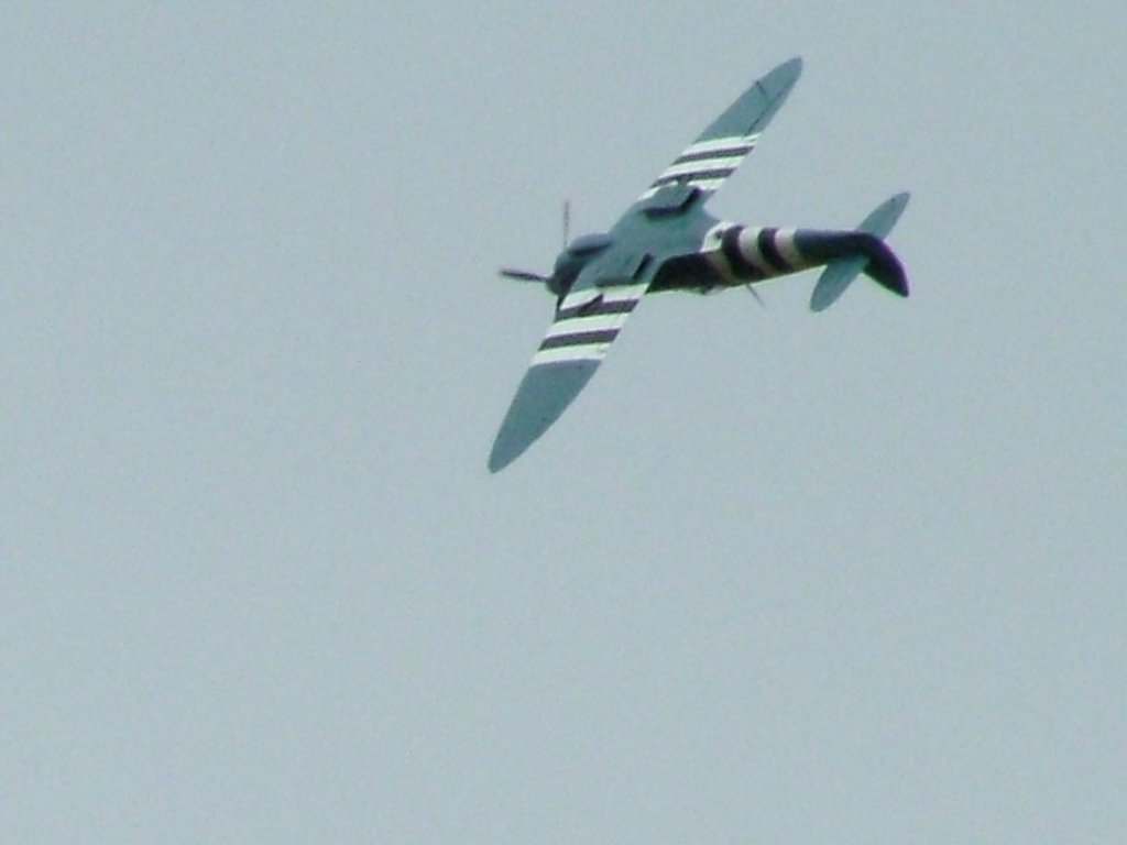 Click now to see this image full size.