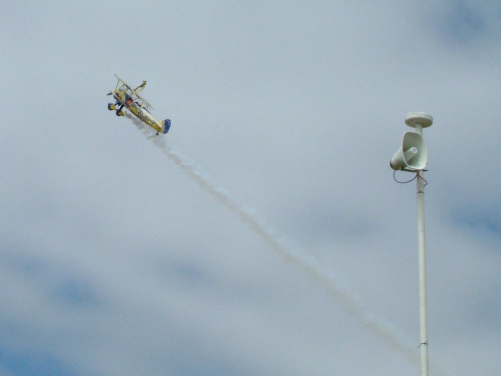 Click now to see this image full size.