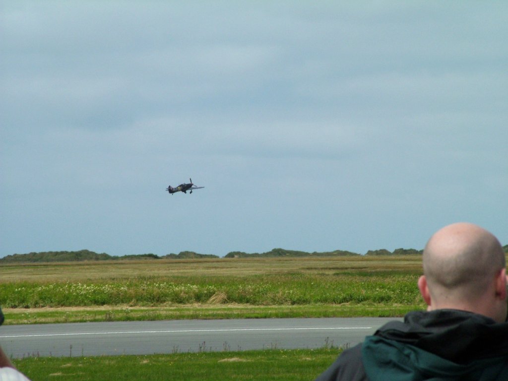 Click now to see this image full size.