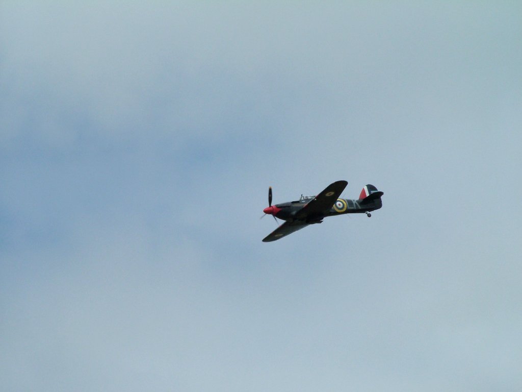 Click now to see this image full size.