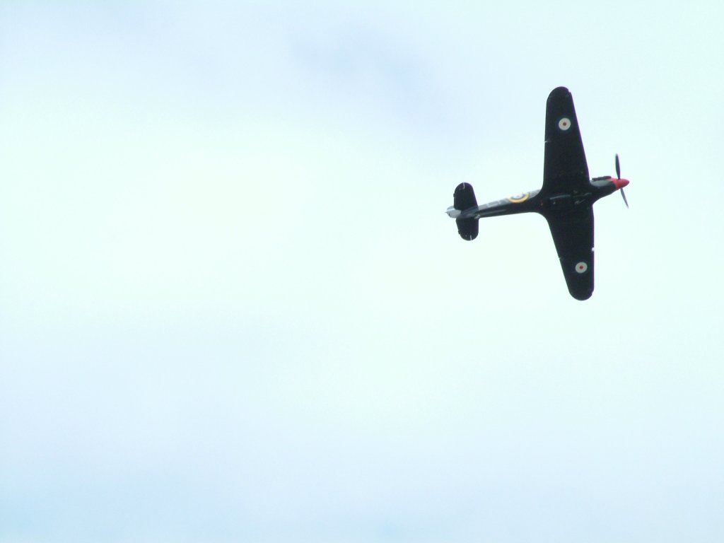 Click now to see this image full size.