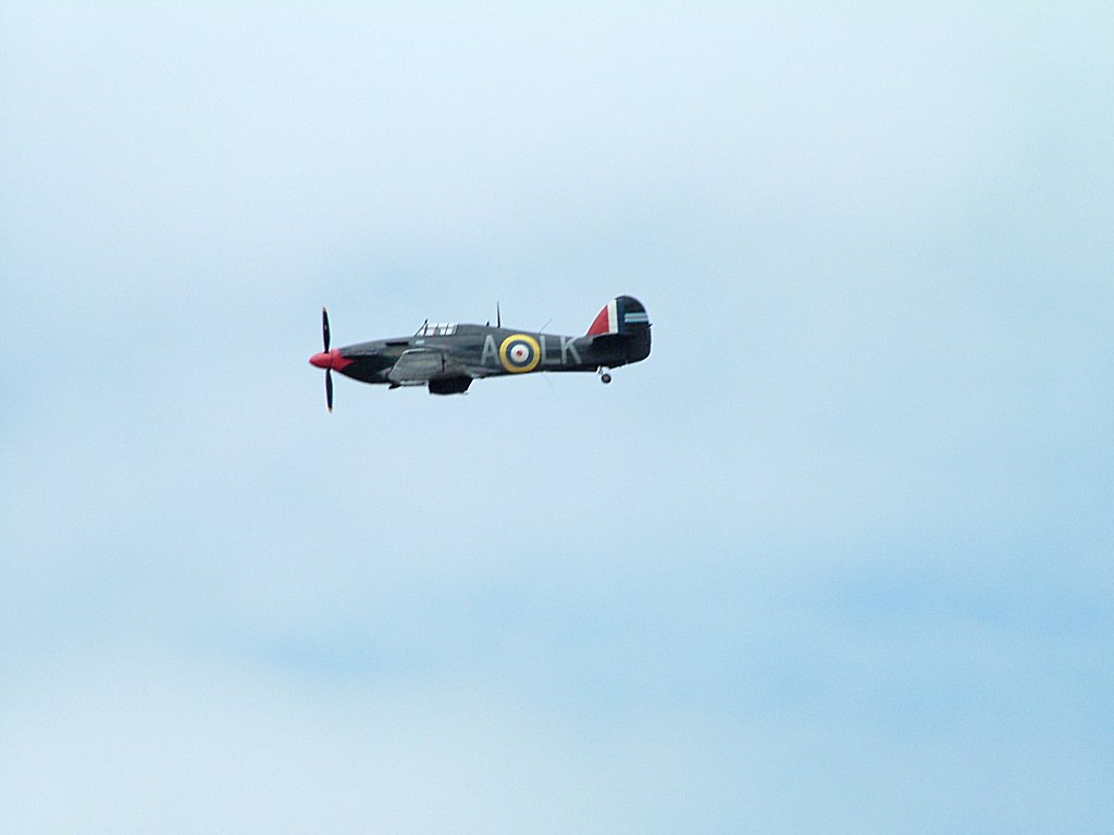 Click now to see this image full size.