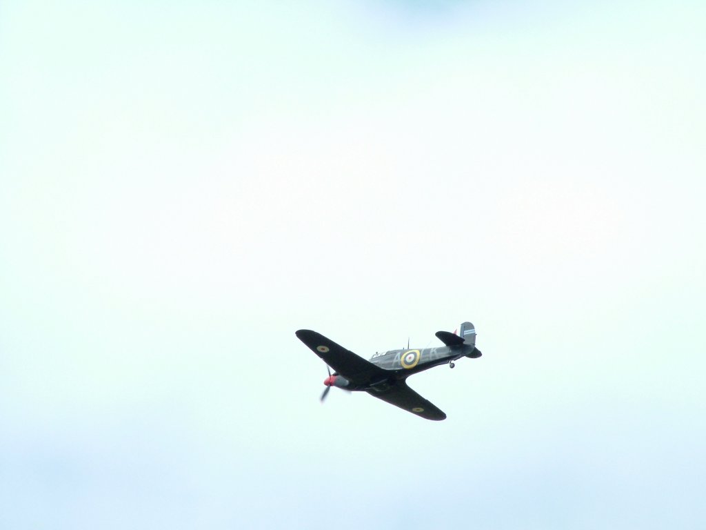 Click now to see this image full size.