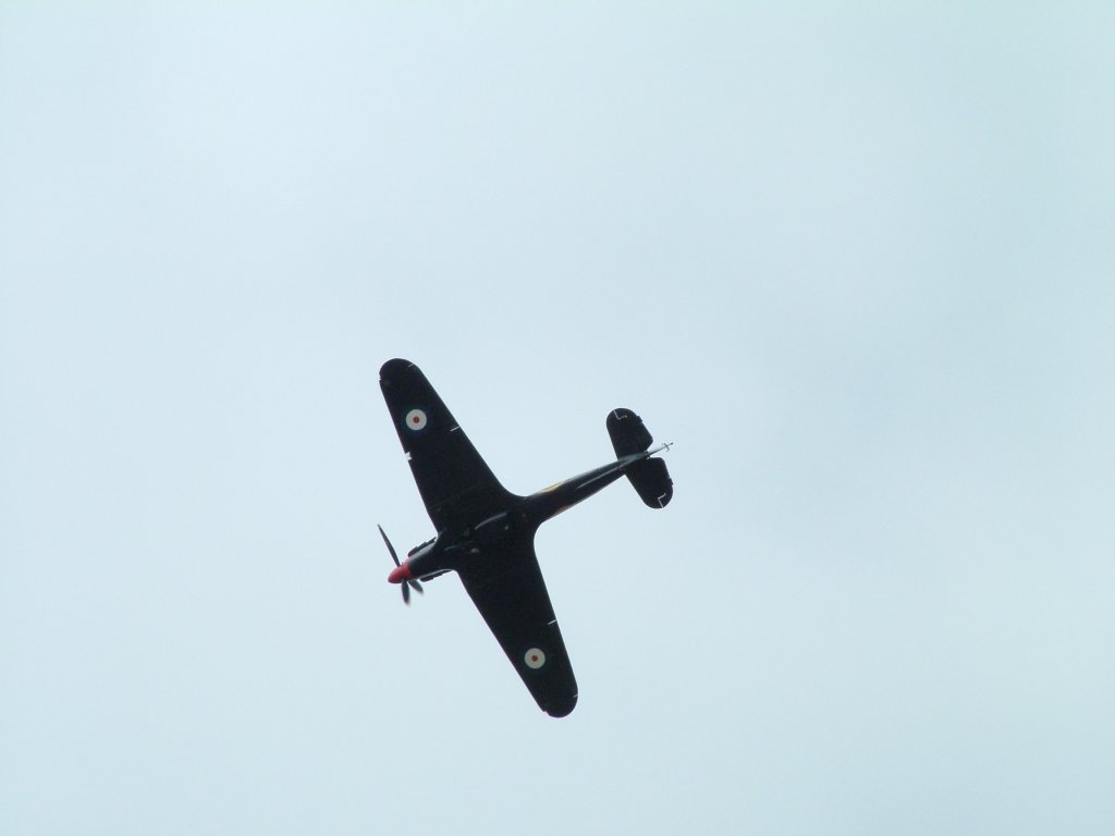 Click now to see this image full size.