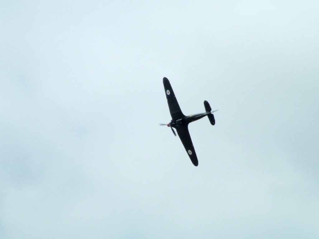 Click now to see this image full size.