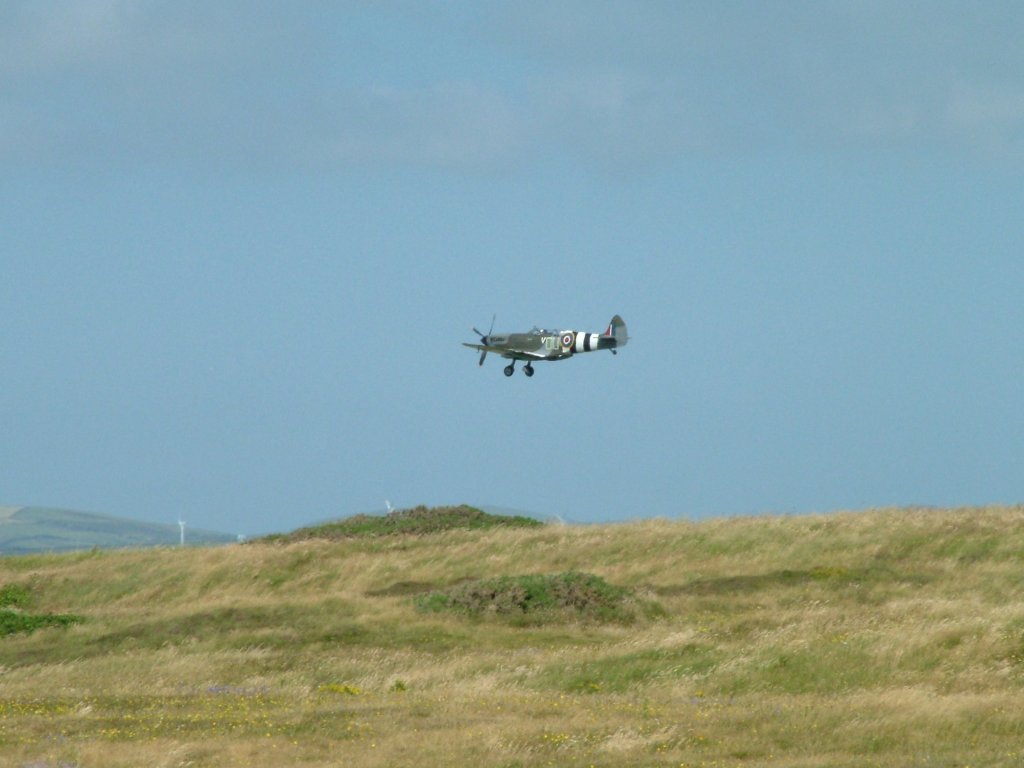 Click now to see this image full size.