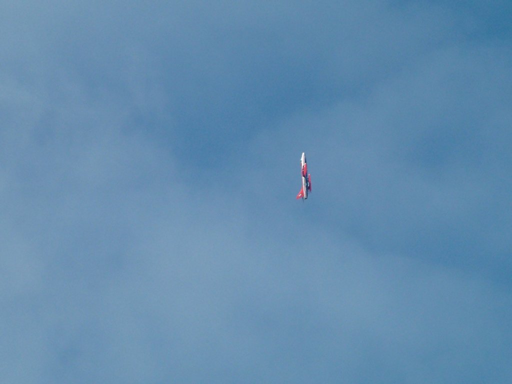 Click now to see this image full size.