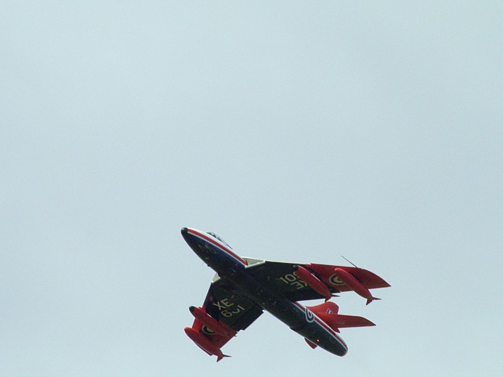 Click now to see this image full size.