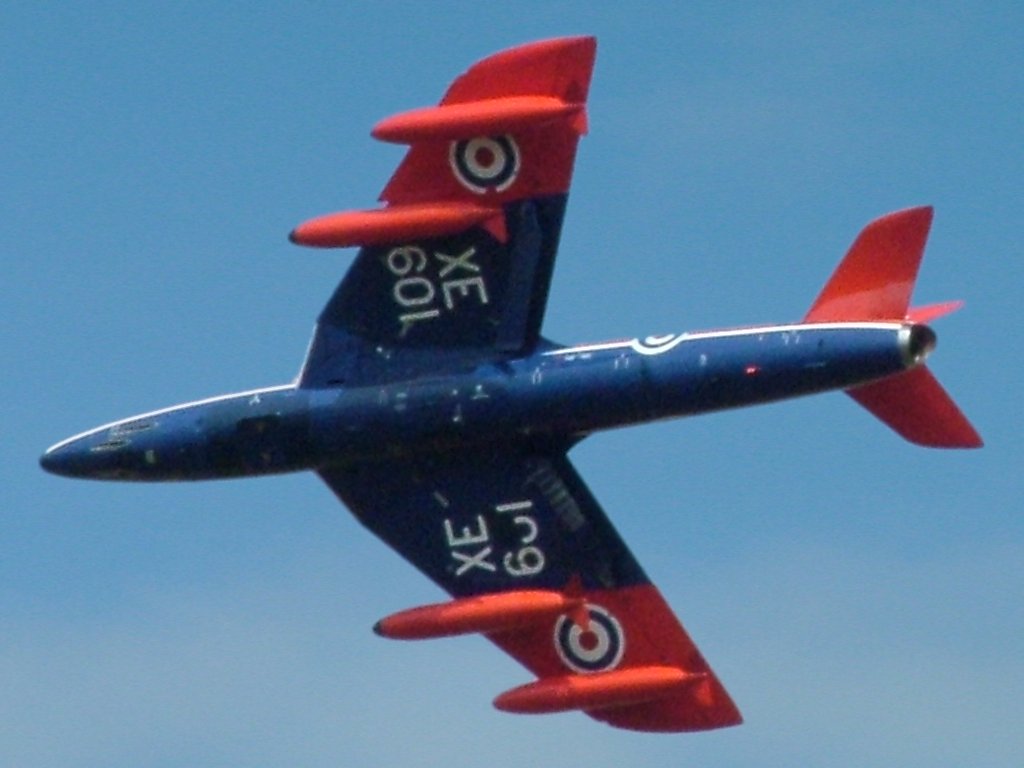 Click now to see this image full size.