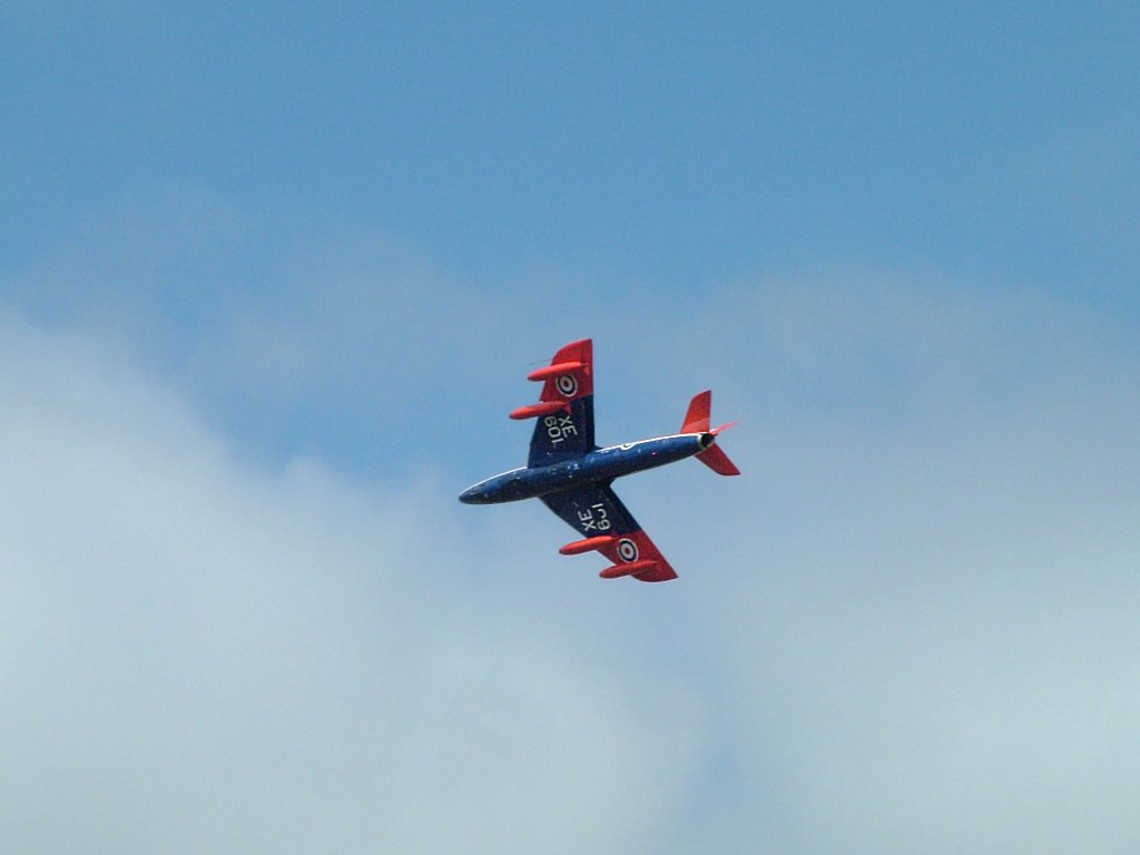 Click now to see this image full size.