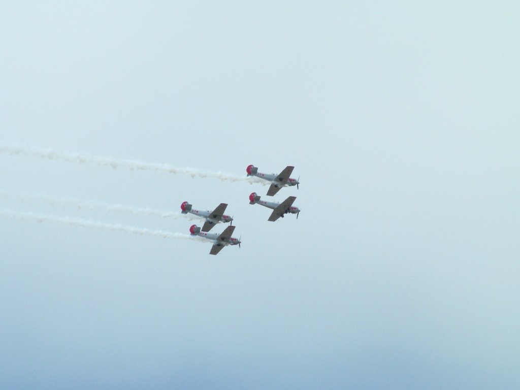 Click now to see this image full size.