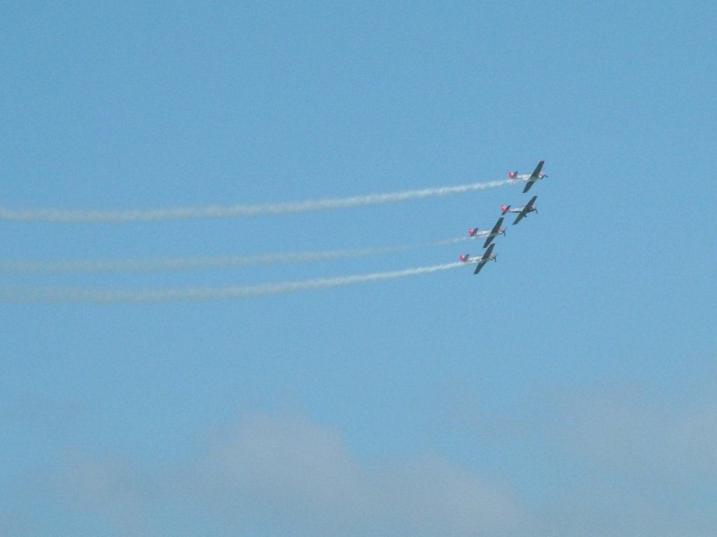 Click now to see this image full size.